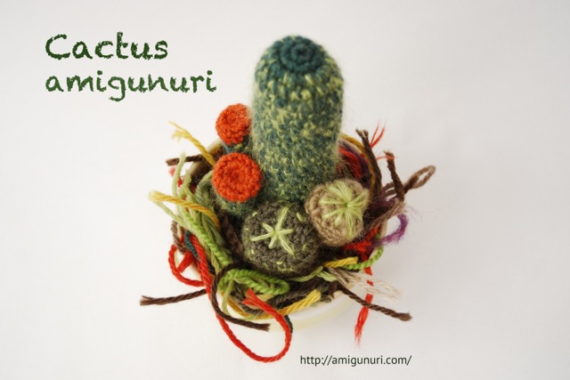 Cactus amigunuri sobre restos de lanas