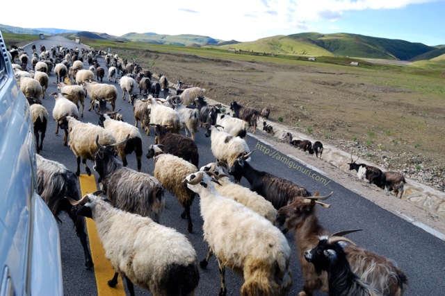 En el camino por el Tíbet